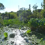 Apartment In Lignano Sabbiadoro 21778